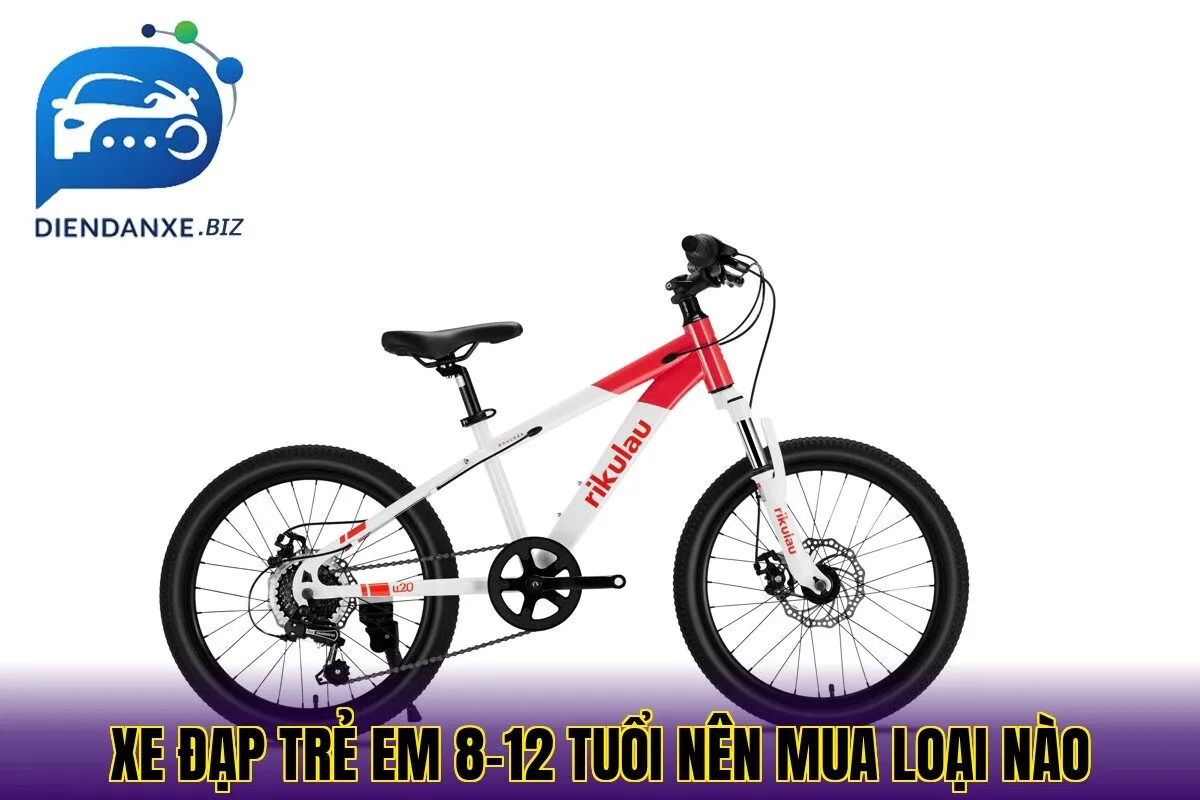 Xe đạp trẻ em 8-12 tuổi nên mua loại nào