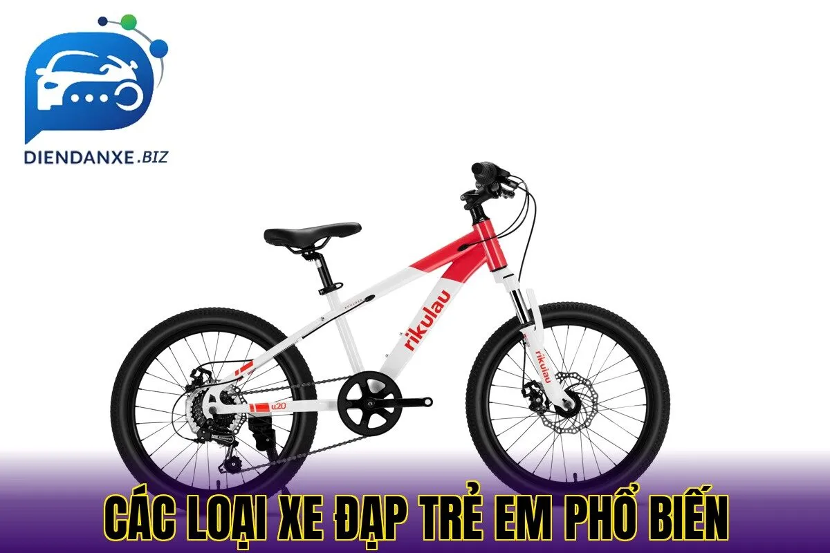 Các loại xe đạp trẻ em phổ biến