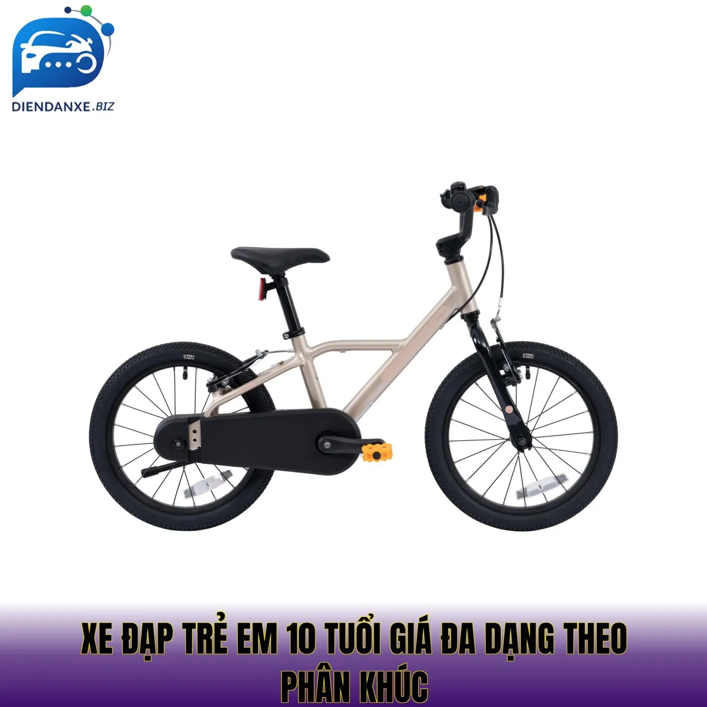xe đạp trẻ em 10 tuổi giá đa dạng theo phân khúc